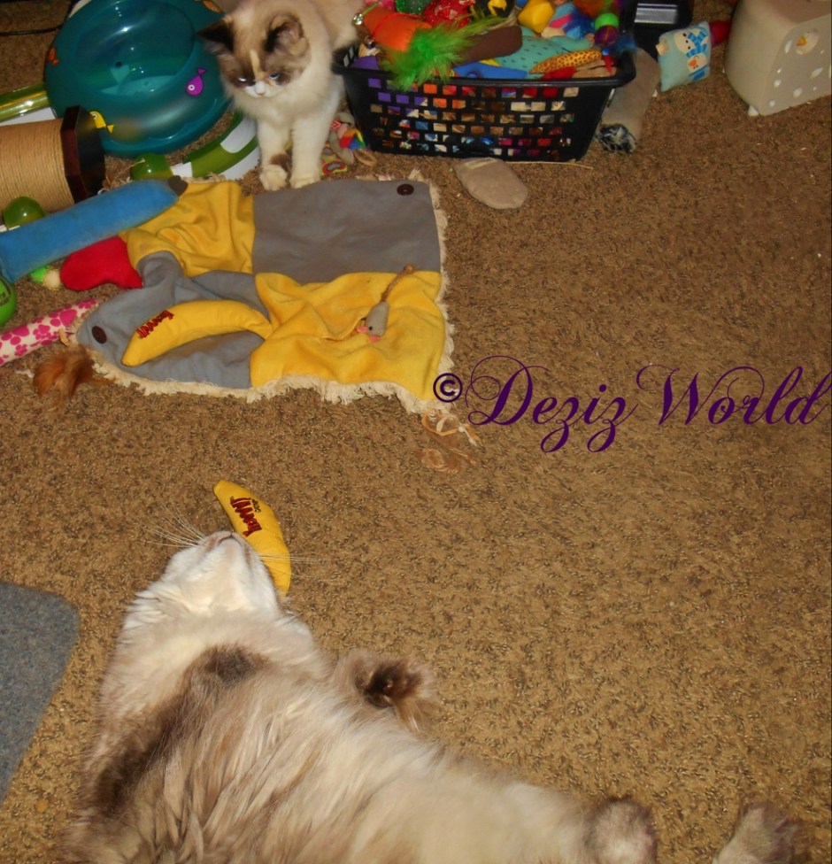 Dezi rolls on the Yeowww nip nana while Raena prepares for an attack