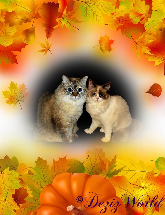 Dezi and Raena in a fall themed frame with a pumpkin and orange, yellow and green leabes