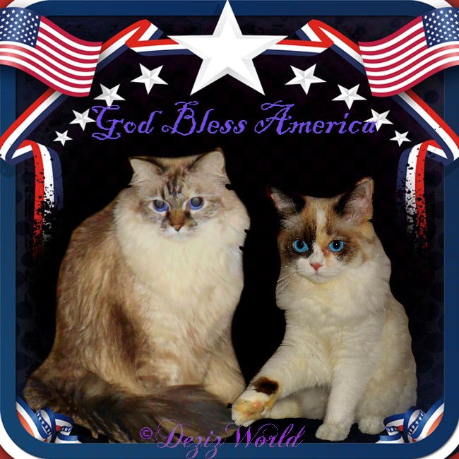 Dezi and Raena in an America flag frame with the stars and stripes