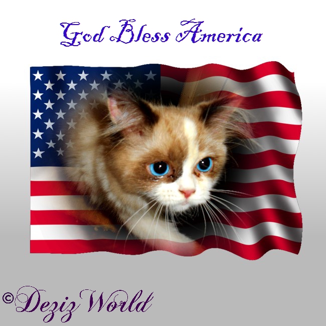 Raena in an American Flag frame