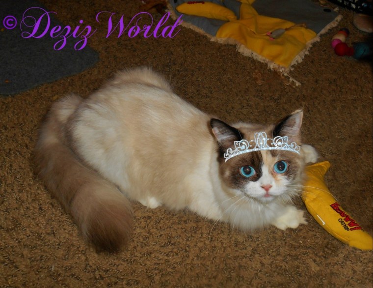 Raena with nip nana wearing a tiara