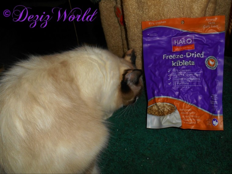 Raena sniffs the Halo Kiblets bag