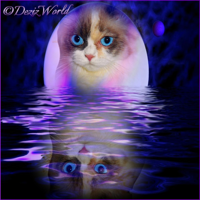 Raena framed in purple reflecting in the water