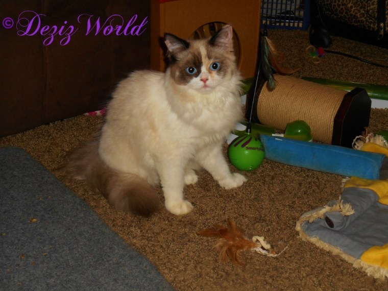 Raena poses for the camera