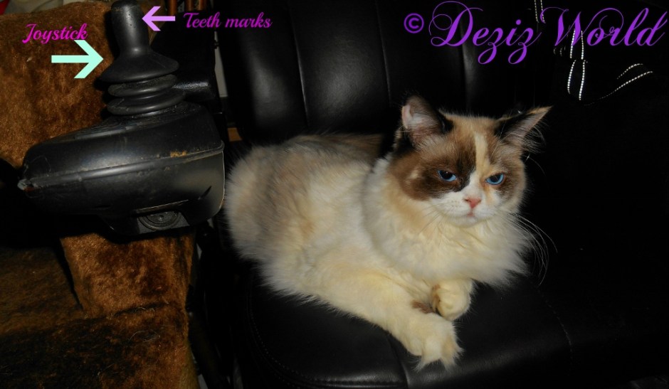 Raena lays in wheelchair while pointing out the joystick