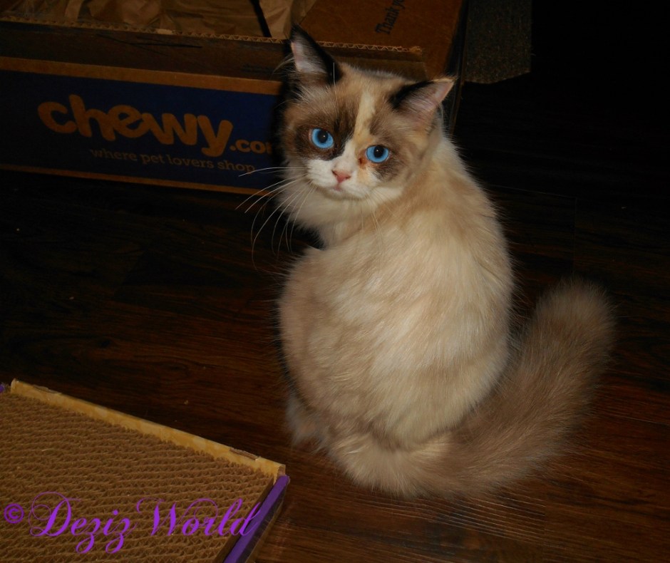 Raena looking over her shoulders.