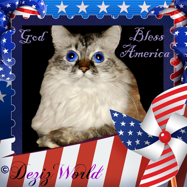 Dezi in an American Flag frame