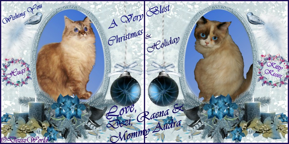 Dezi and Raena wish everyone a Merry and Blest Christmas card