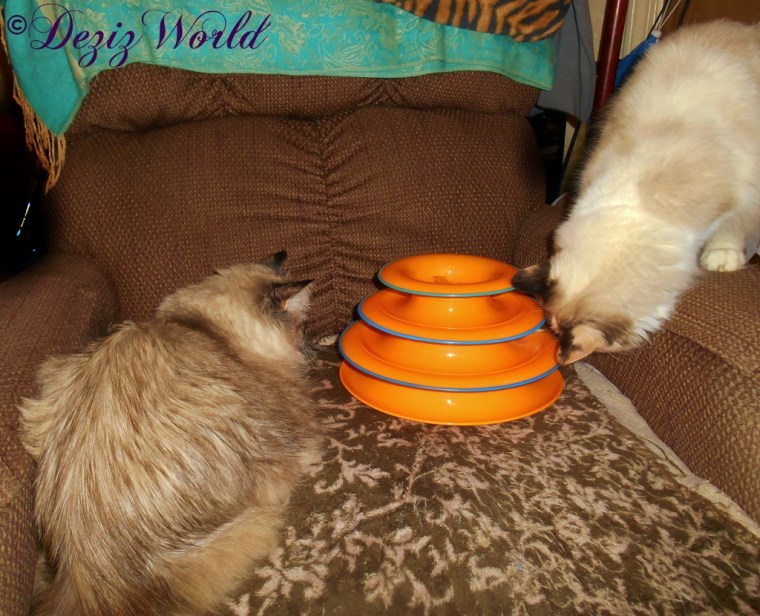 Dezi and Raena check out the Tower of Tracks