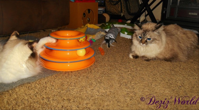 Dezi and Raena play with the Tower of Tracks
