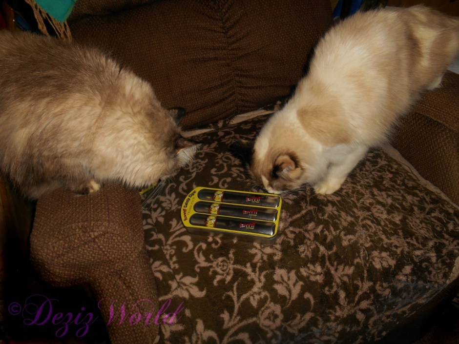 Dezi and Raena check out the new yeowww cigars