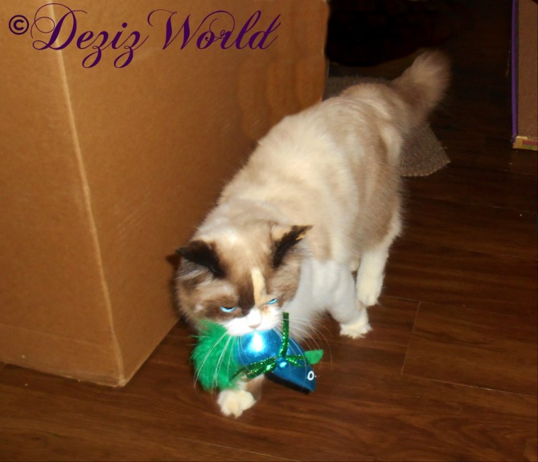 Raena carries a Christmas toy from Cat and Lisa