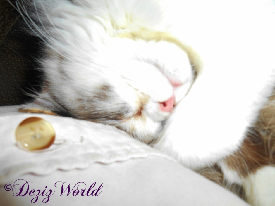 Raena sleepy selfie on mommys lap