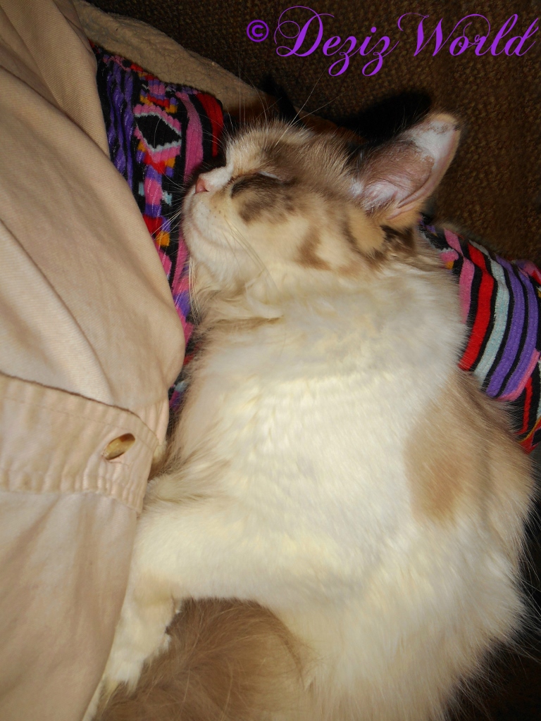 Raena sleeps in mommys lap