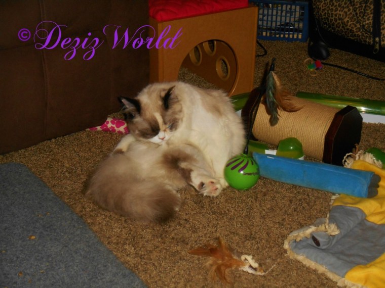 Raena bathes and plays on the floor