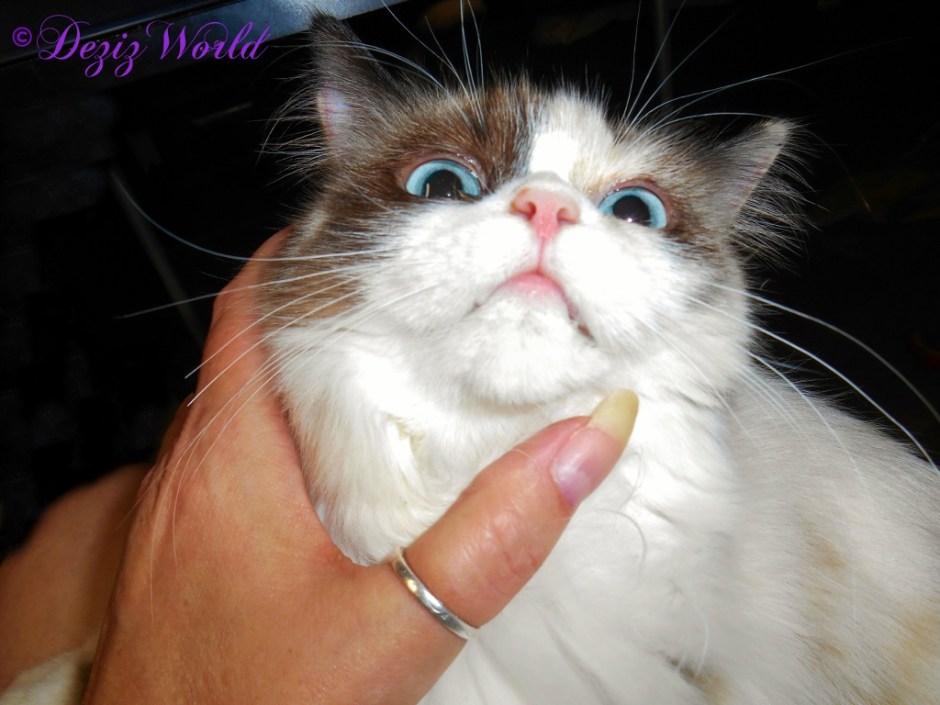 Raena selfie with mommy holding her head up