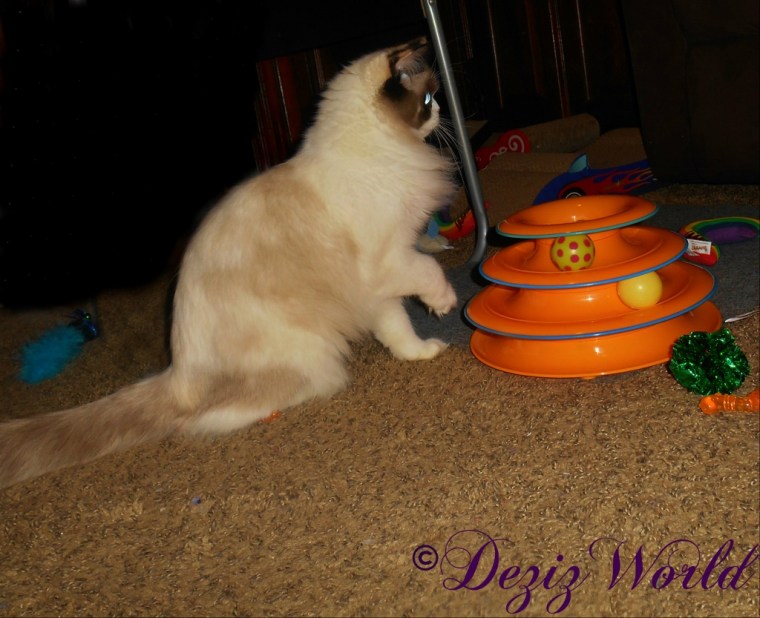 Raena plays with the Tower of Tracks