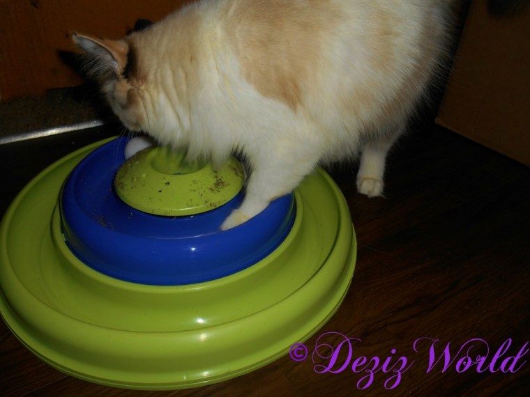 Raena plays with track toy from Donna