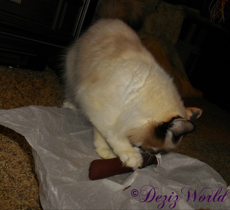 Raena plays with a new yeowww cigar