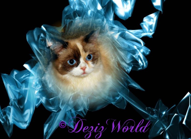 Raena in an icy frame