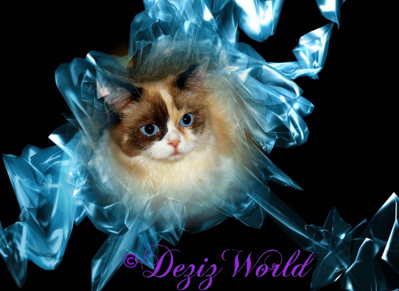 Raena in an icy frame