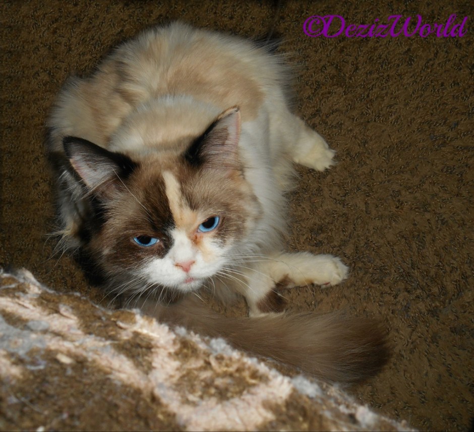 Raena laying at mommy's feet taking a bath