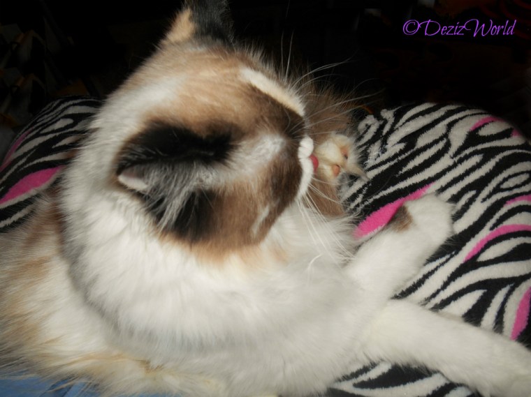 Raena lays in mommys lap and bathes