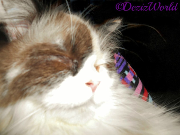 Raena sleeping on mommys lap