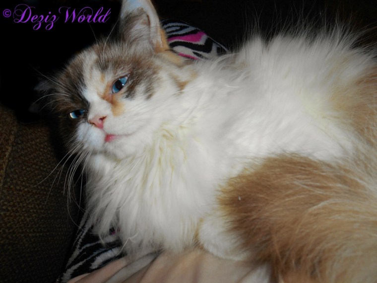 Raena lays in mommy's lap