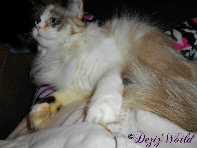 Raena lays in mommy's lap