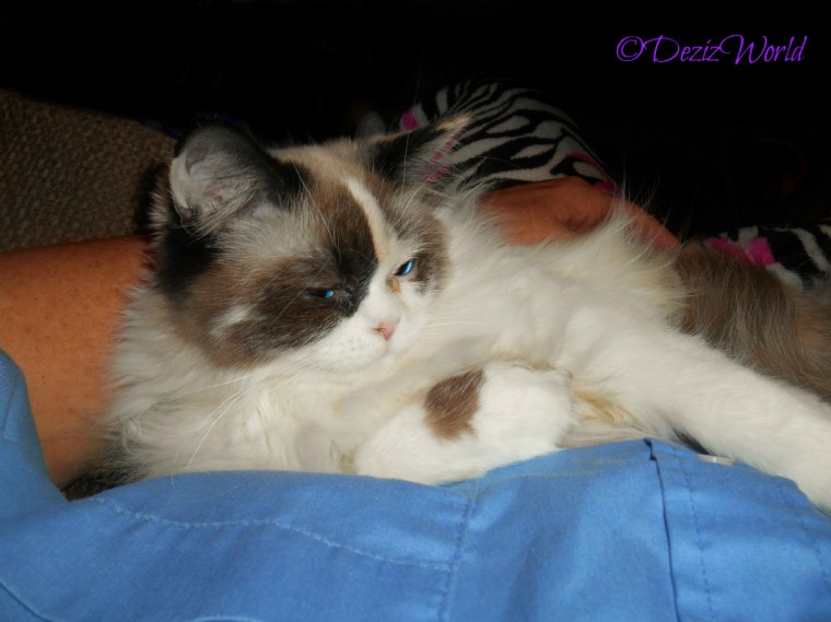 Raena lays in mommys lap