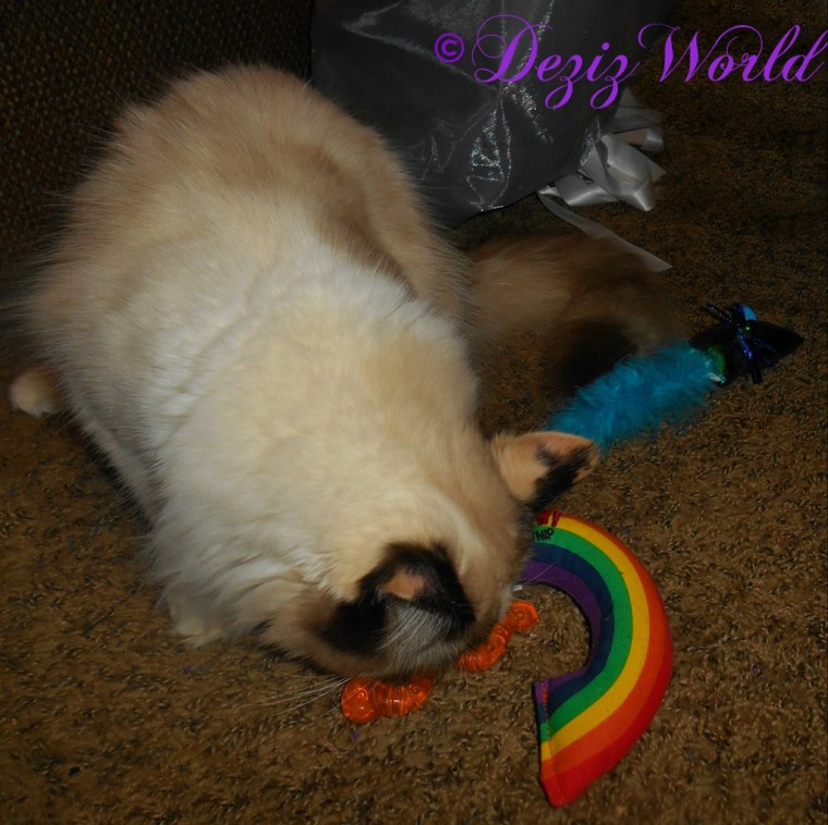 Raena plays with Christmas toys