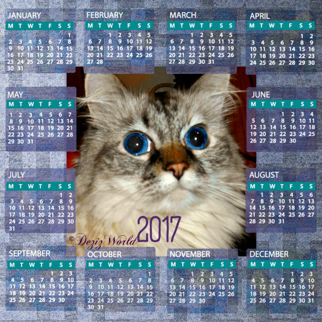 Dezi in a 2017 calendar