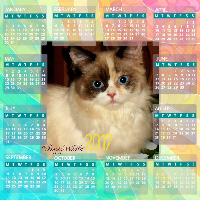 Raena in a 2017 calendar