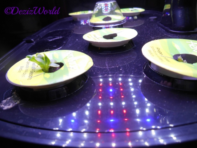 Aerogarden with salad pods