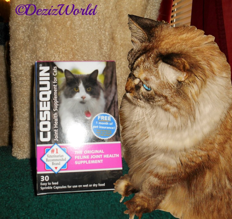 Dezi poses by the box of Nutramax Cosequin joint relief capsules for cats