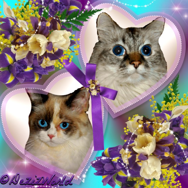 Dezi and Raena in hearts frame with purple and cream flowers.