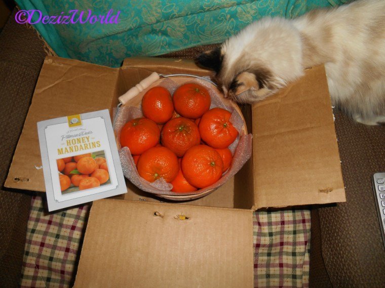 Raena checks ou the bucket of mandarins from LouLou