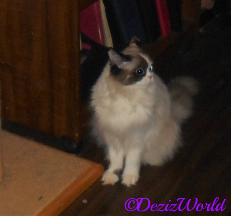 Raena sits in hallway