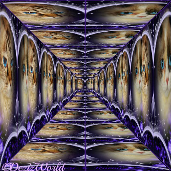 Dezi and Raena cubed