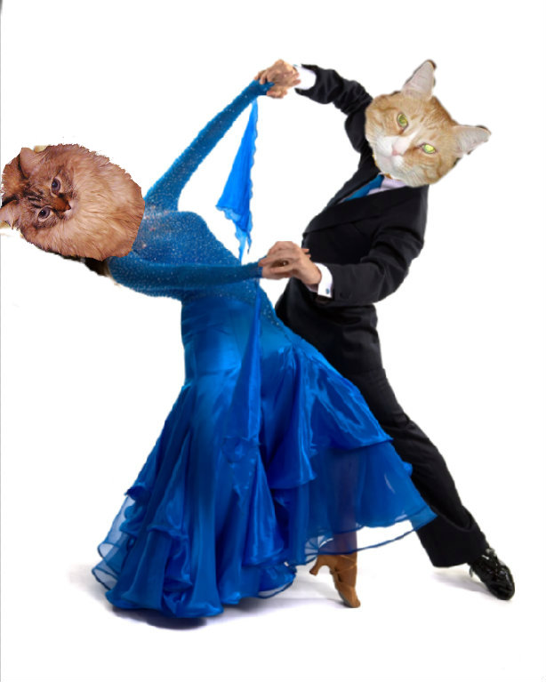 Timmy Tomcat and Dezi dance at a Cat Scout event