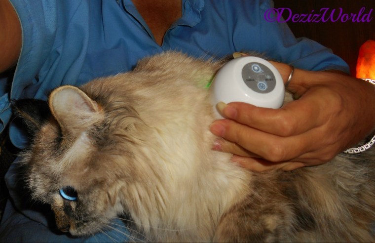 Dezi gets a LumaSoothe treatment