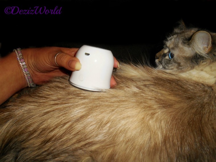 Dezi gets a LumaSoothe treatment