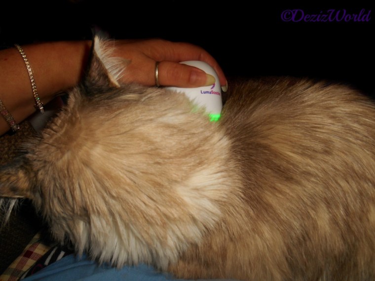 Dezi gets LumaSoothed