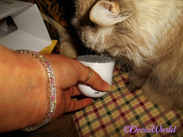 Dezi checks out the LumaSoothe