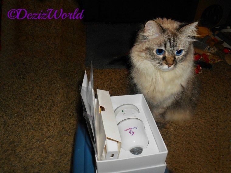 Dezi poses with the LumaSoothe