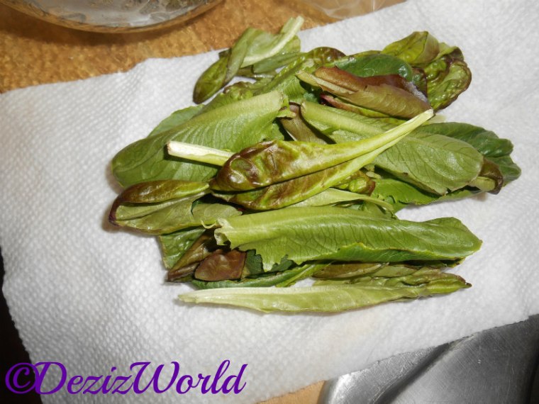 AeroGarden Lettuce Leaves