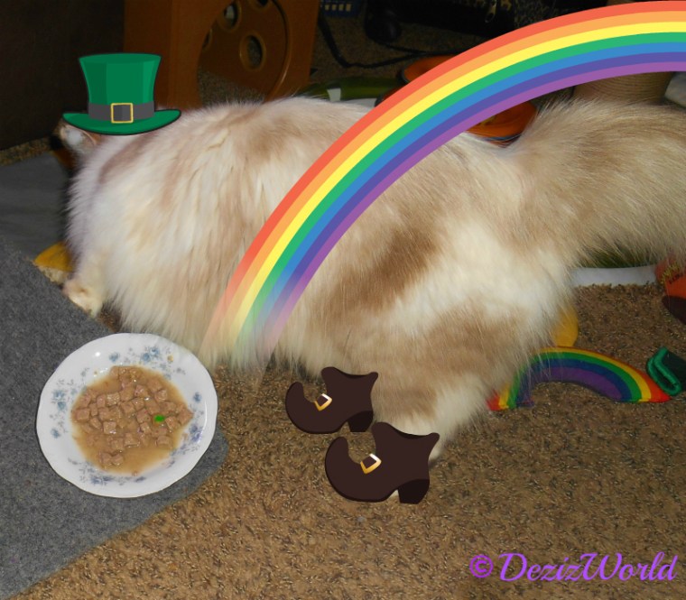 Raena dressed like a leprechaun covers her food