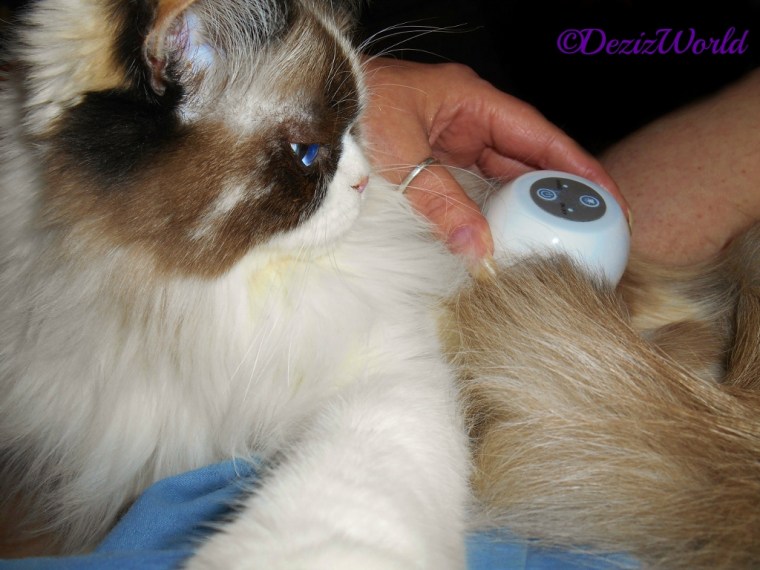 Raena getting a LumaSoothe treatment