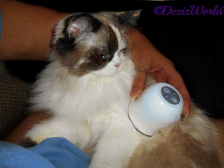 Raena getting a LumaSoothe treatment